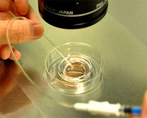 云南靠谱的私立供卵试管医院名单已更新，附2026供卵生男孩条件解读
						