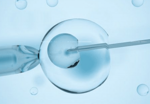 试管代生公司~湖南省人民医院顺利通过“试管婴儿技术”试运行评审