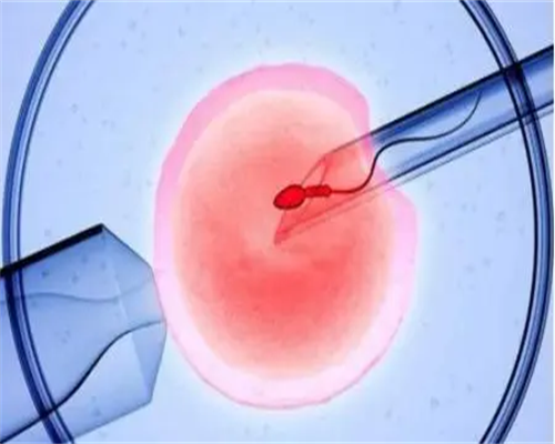 孕宝国际郑州助孕公司_孕育无忧|广西供卵试管成功率排名,2026广西试管助孕生