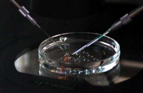 连云港做第三代试管婴儿多少钱？