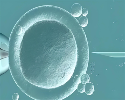 泰嘉运公司是正规的吗_彩虹助孕|2026海南各大公立医院供卵生男孩费用一览附海