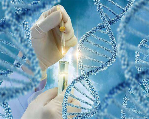 正规捐卵机构~泰国试管婴接待流程，泰国试管婴儿咨询服务