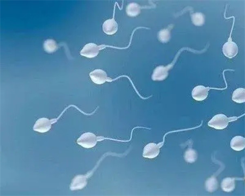 江苏双角子宫试管助孕：口碑医院、三代试管与费用详解