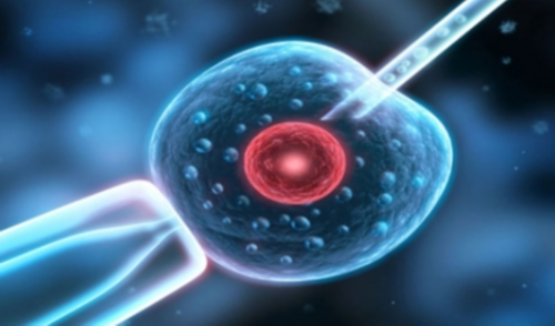 男性孕前健康：提升生育力的饮食与习惯策略