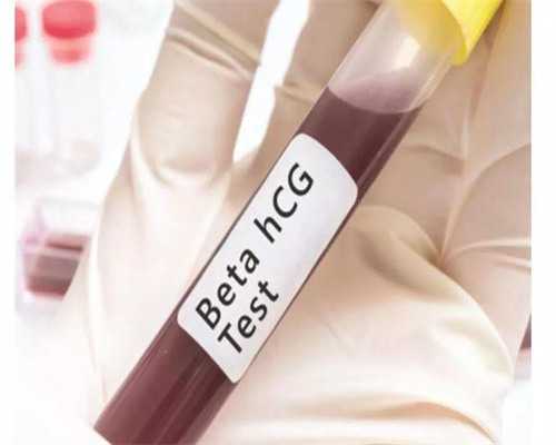 湖州供卵试管婴儿与助孕机构指南：费用、流程及选择要点