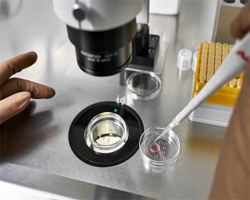 陆军总医院47岁供卵试管：哪位专家成功率更卓越？