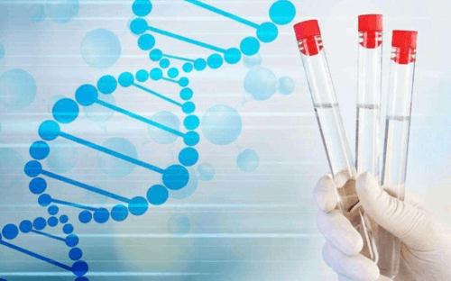 昆明爱维艾夫试管医院|深圳供卵三代试管婴儿纳入医保了吗？附详细流程？