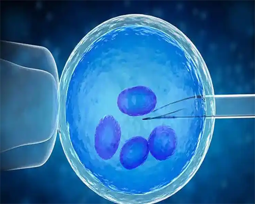 石家庄地下供卵机构陷阱揭示：包生男孩、双胞胎承诺可靠吗？费用详解