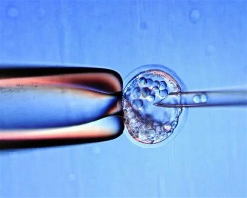 广州南方39生殖中心|2026年贵州供卵男童试管费用一览表盘点贵州最好的供卵试