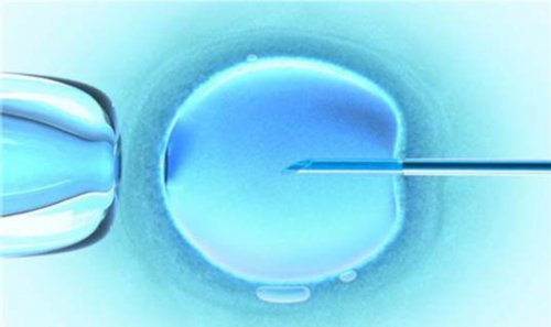 (a)做代孕的流程,石家庄供卵试管医院哪家好？供卵试管婴儿费用