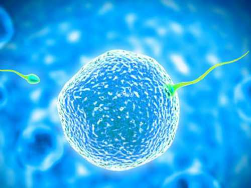 北京助孕中心：供卵代怀双胞胎的条件、流程与注意事项