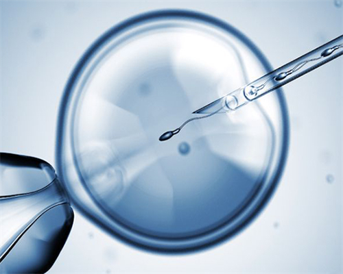 (a)代孕哪里最便宜,2026嘉兴供卵试管医院排名，本地助孕机构成功率前三排名