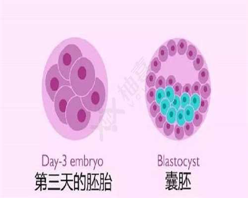 扬州三代试管助孕：妇幼保健院服务现状与江苏省内优质辅助生殖机构指南