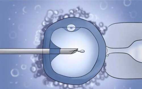 陕西助孕新动态：西安唐都医院供卵试管费用全解析，兼顾2026年省内主要医院排队等候实况