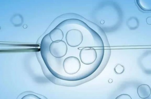 代怀选性别,供卵生试管宝宝,烟台能做第三代供卵代怀的助孕公司有哪些？