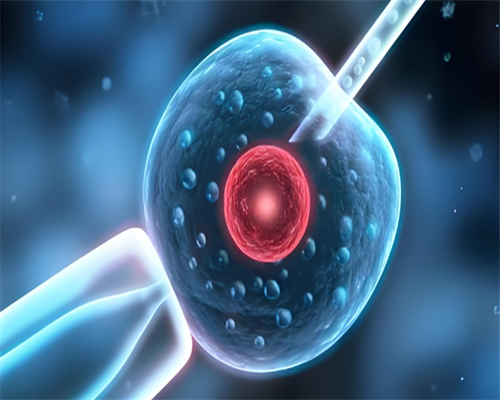 上海助孕中心诚信坤和助孕|乌克兰供卵试管婴儿答疑（乌克兰试管多少）