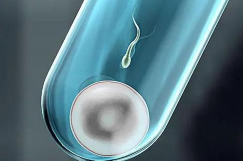 晋中婴泰试管婴儿费用与成功率解析：辅助生殖助孕指南