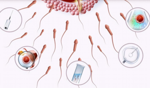 广西优选助孕医院：供卵试管成功率解析