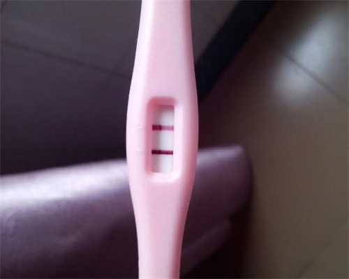 代怀助孕机构~台湾试管婴儿捐卵多少钱？