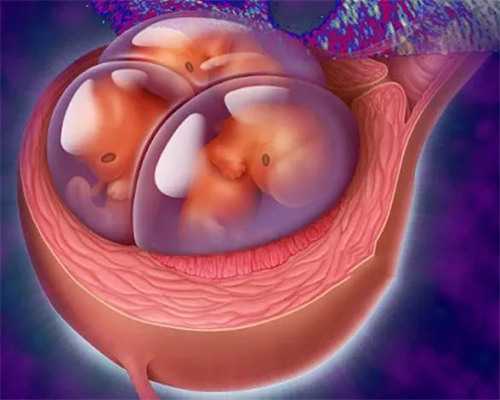 厦门泰东方国际_柬埔寨生殖医院排名|乐山试管婴儿多少钱价格贵不贵？