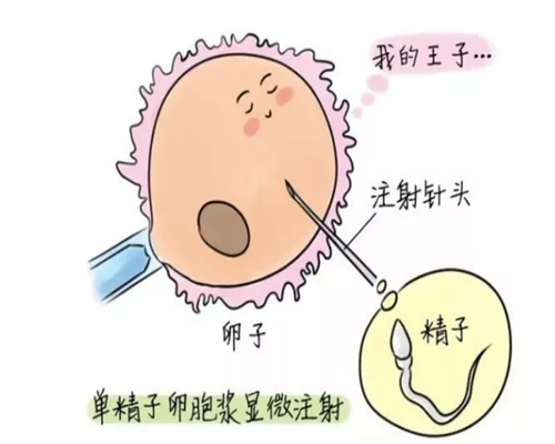 (a)医院做代孕多少钱,哈尔滨供卵试管婴儿费用要多少钱？