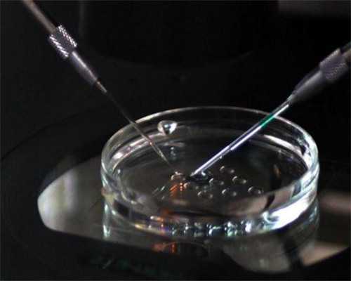 抚州供卵代怀助孕生龙凤胎费用解析：代生机构与试管宝宝价格一览