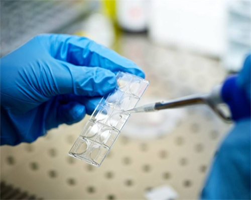 试管之路不易：多胚胎仅得一囊胚的真实心声