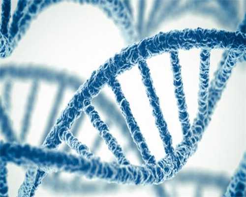 代怀生子机构~柬埔寨三代试管婴儿经历