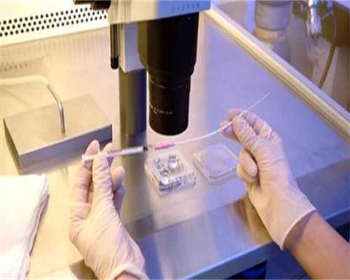 河北供卵试管助孕指南：权威医院排名、成功率与费用解析