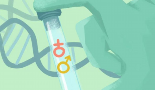 遗传病背景下，三代试管婴儿是可行方案吗？