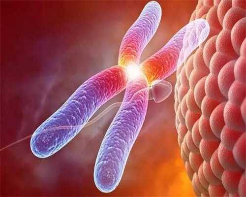 试管婴儿卵巢过度刺激如何应对