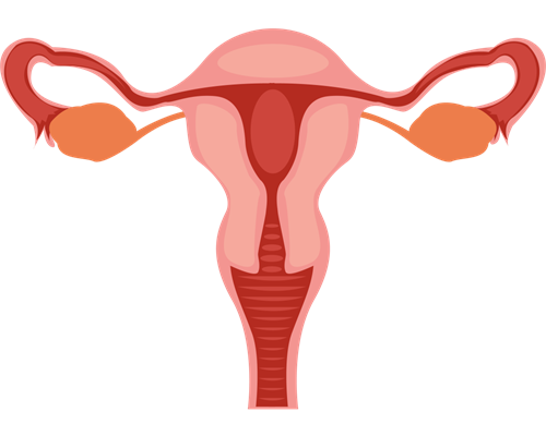 广州彩虹宝贝有限公司|金华供卵试管婴儿医院排名最好附试管助孕机构费用成