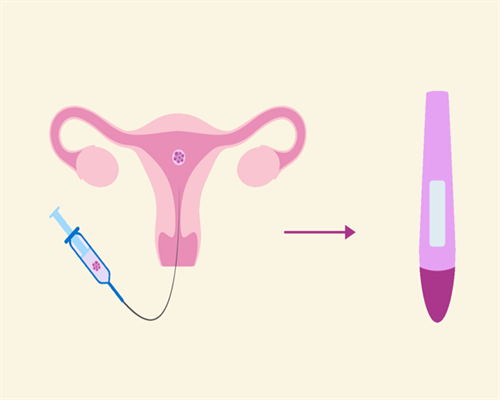 辽宁省正规供卵医院2026排名：试管助孕与辅助生殖指南