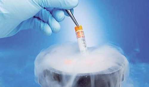 广州供卵试管助孕深度解析：合法性、成功率与适用人群全攻略