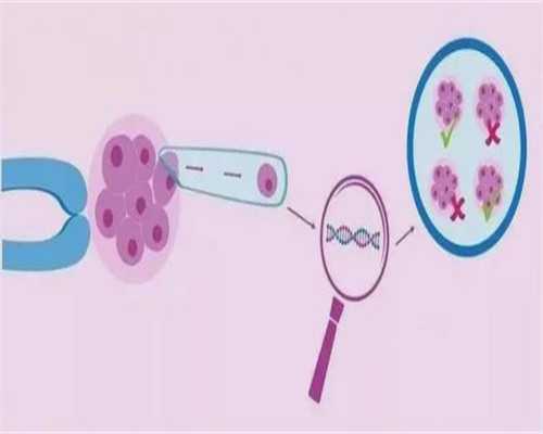 东莞第三代试管助孕深度解析：本地医院现状与周边辅助生殖选择