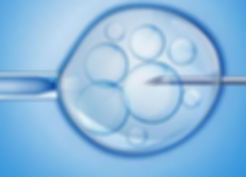 芜湖供卵助孕：卵子库现状与2026热门医院解析