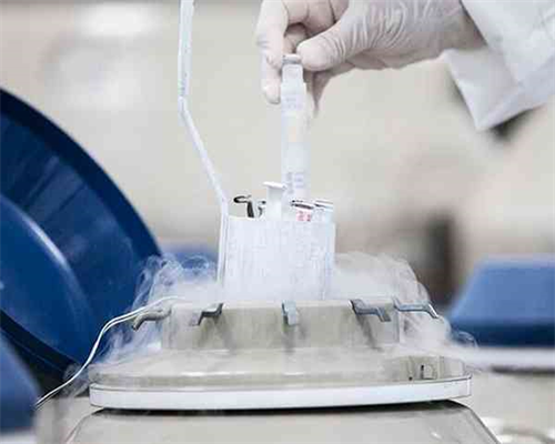 2026年徐州第三代供卵试管助孕：正规医院选择与服务解析