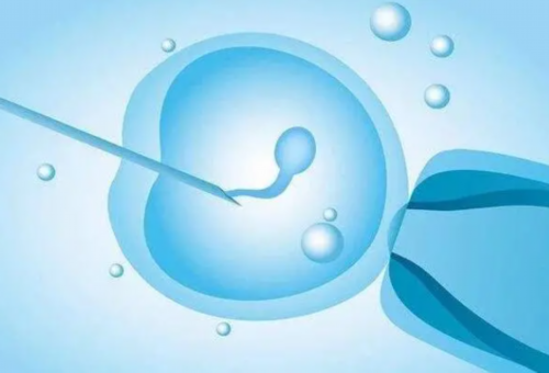 金华供卵试管助孕深度解析：生男孩可行性、费用与排队时长