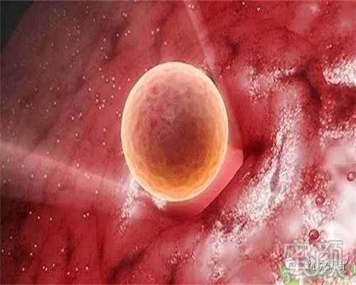 孕早期维生素补充的重要性与策略