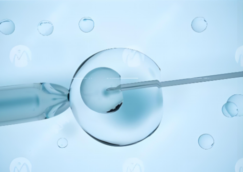 探秘永州辅助生殖：三代供卵代怀助孕机构、借卵生男孩与代生成功率全攻略