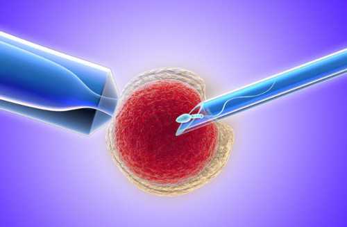 第三代助孕供卵试管流程、费用与男性准备指南