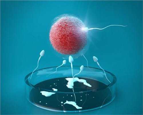 上海兰州助孕机构甄选：试管婴儿、代生与辅助生殖全面指南