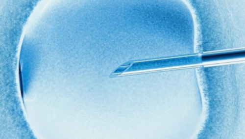 (a)最好的代孕机构,广西医科大三代试管_成都试管婴儿医院成功率排名，2026热门