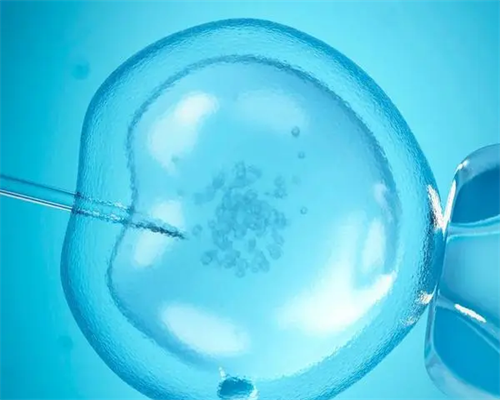 【助孕指南】孕早期到中后期：代生代怀准妈妈的科学饮食全攻略