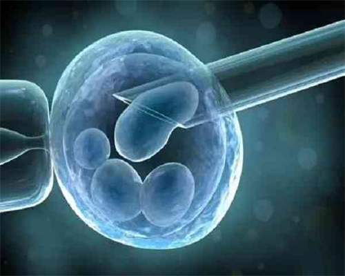 孕前三个月饮食注意什么