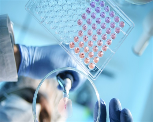 通化供卵三代试管医院权威指南：吉林省辅助生殖与助孕成功率全解