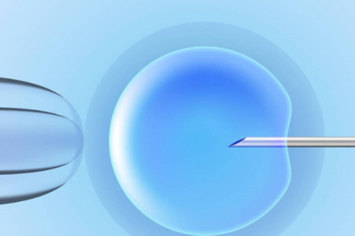 深圳泰嘉运正规吗_福康助孕|揭阳试管婴儿医院大全2026三代试管费用与成功率排