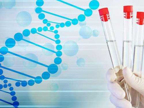 探索烟台供卵试管：借卵生子、第三代试管助孕费用及流程解析