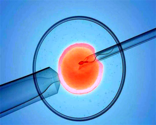 (a)代孕套餐有哪些,2026广西民间供卵试管机构哪家好？在广西做试管婴儿多少钱