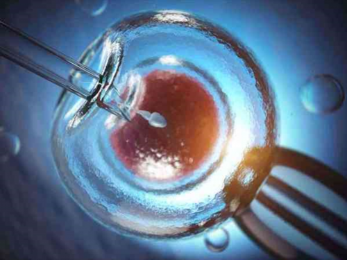 湖北供卵试管助孕医院排名与费用解析：武汉借卵生子详细指南